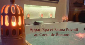 Appart' Spa et Sauna Privatif Au Cœur De Beaune